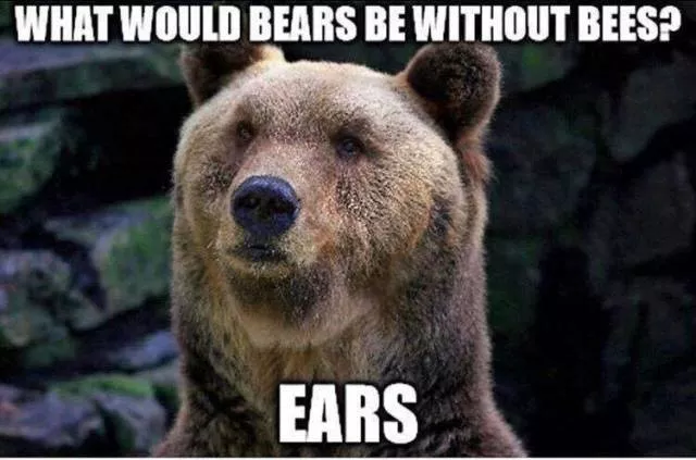 Punny humor - #17 