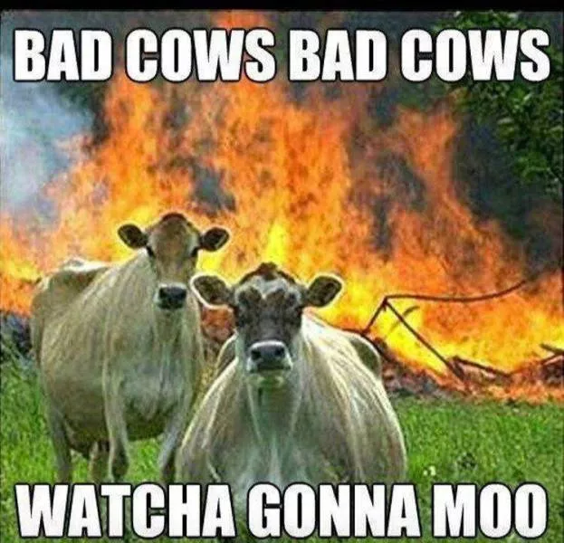 Punny humor - #18 