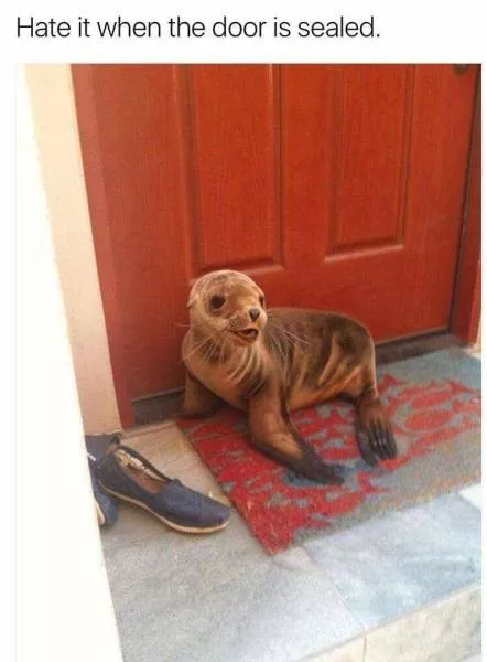 Humour punny - #22 