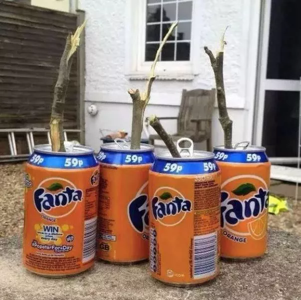 Humour punny - #27 