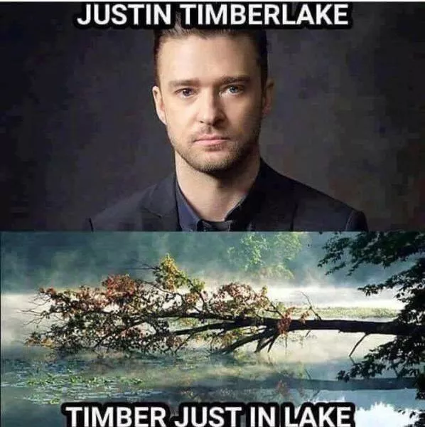 Punny humor - #32 