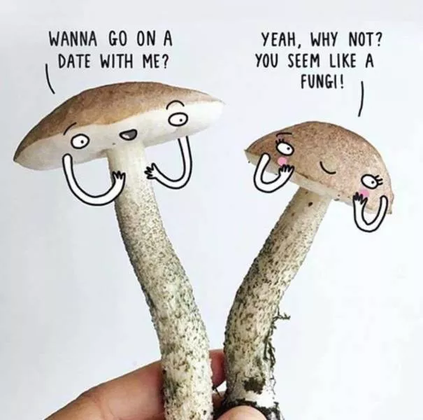Punny humor - #36 