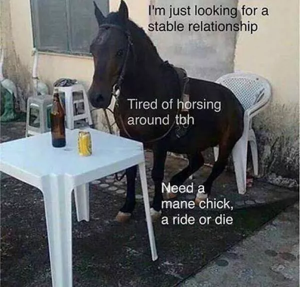 Punny humor
