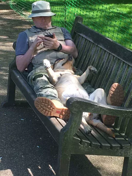 Photos that remind us life is beautiful - #14 