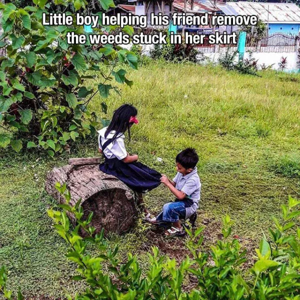 Photos that remind us life is beautiful - #24 