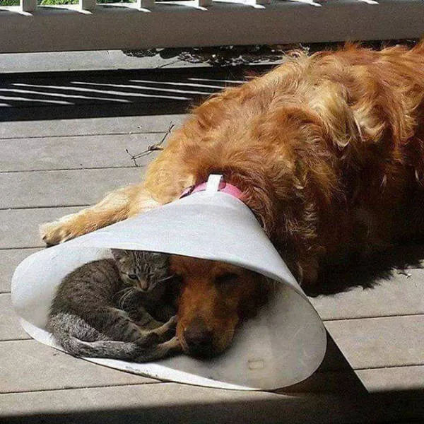 Photos that remind us life is beautiful - #33 