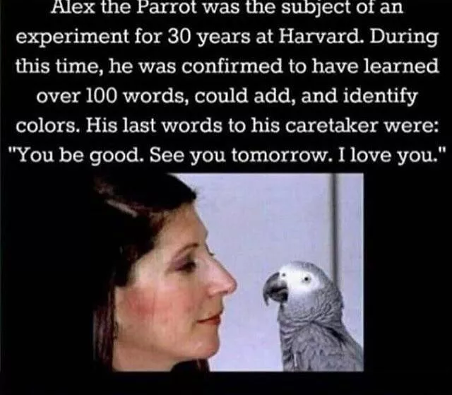 Photos that remind us life is beautiful - #8 
