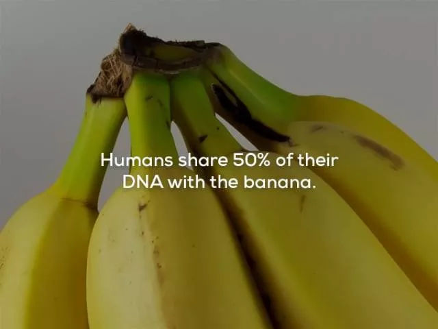 Some creepy facts - #1 
