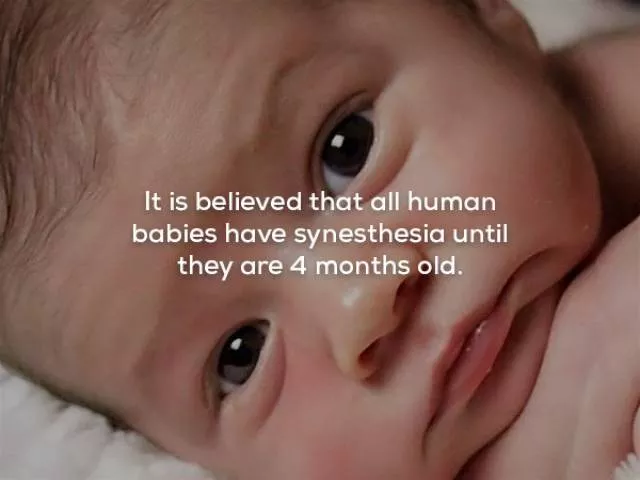 Some creepy facts - #14 