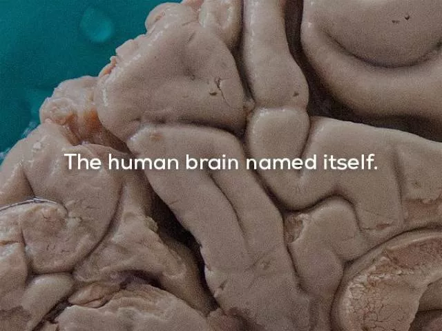Some creepy facts - #17 