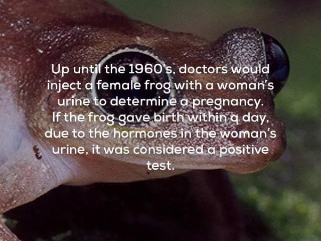 Some creepy facts - #21 