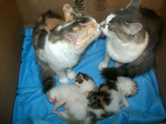 Picdump 75 - #31 
