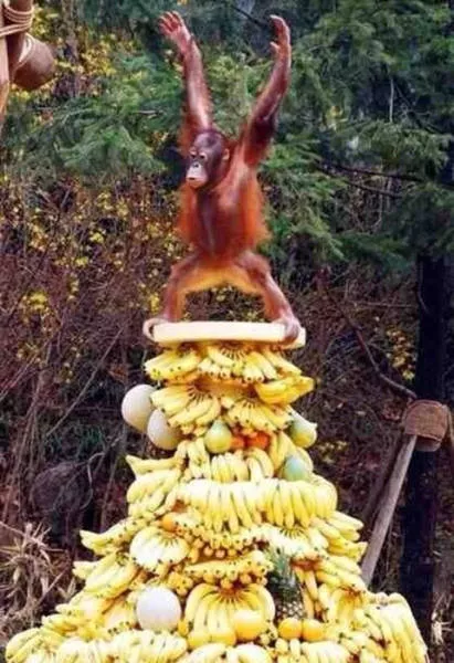 Picdump 75 - #37 