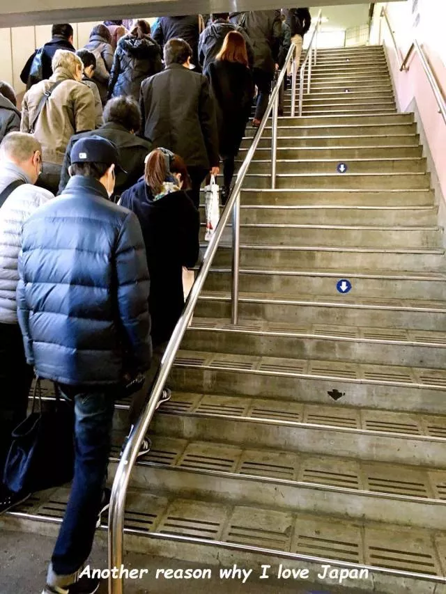 Picdump 443 - #17 