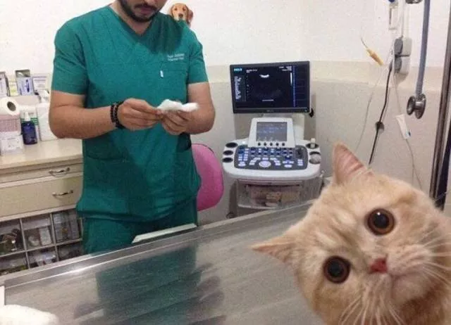 Picdump 443 - #39 