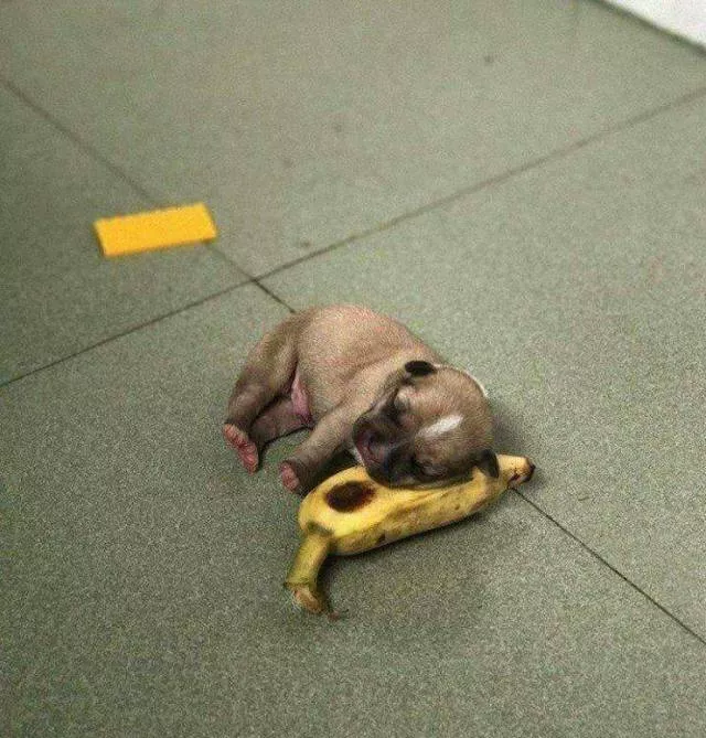 Picdump 443 - #48 