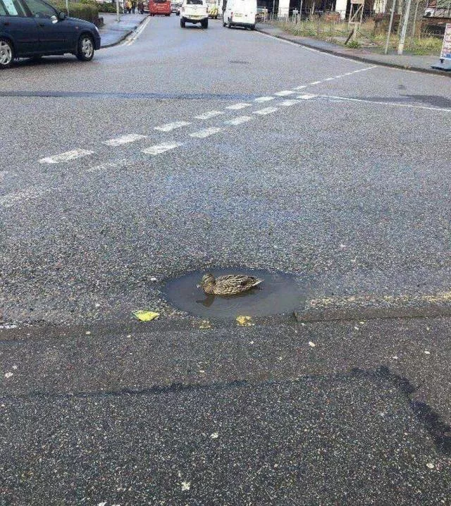 Picdump 443 - #65 
