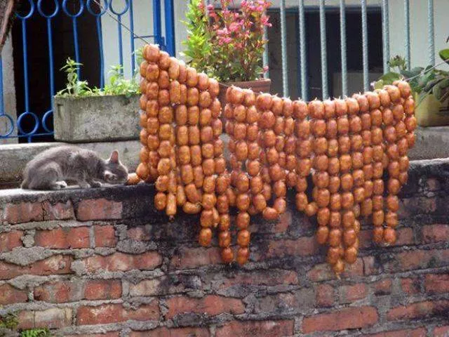 Cute and funny cats - #18 