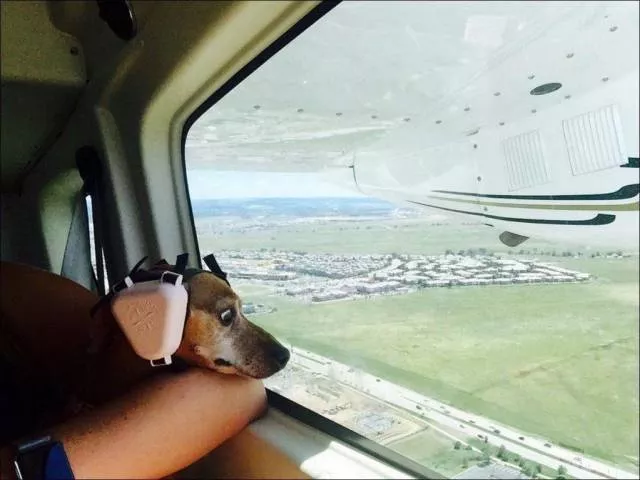 Une belle compilation pour bien terminer la journee - #32 