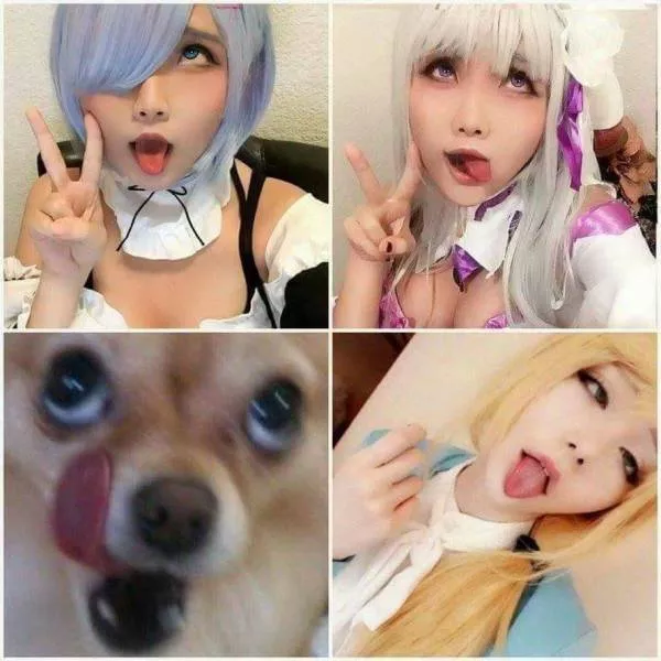 Picdump 444 - #26 