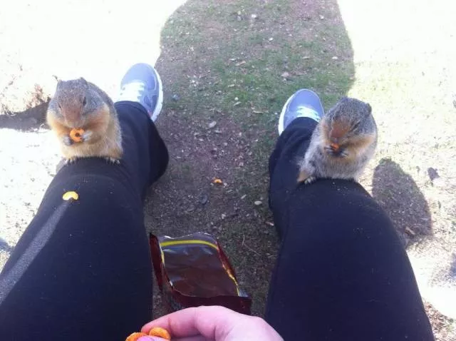 Picdump 444 - #3 