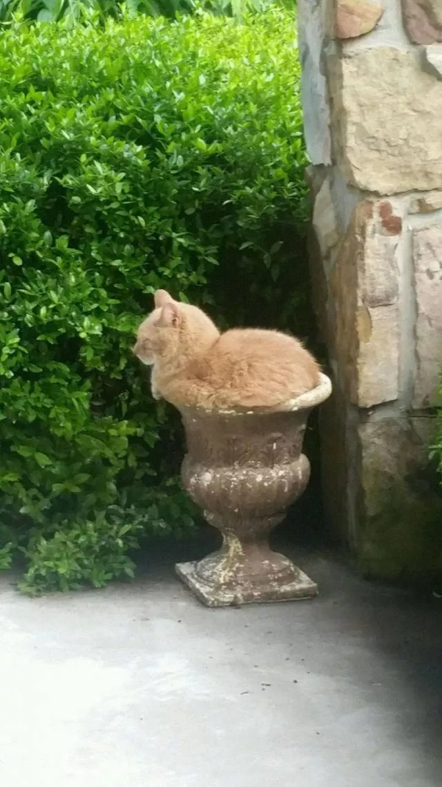 Picdump 444 - #35 
