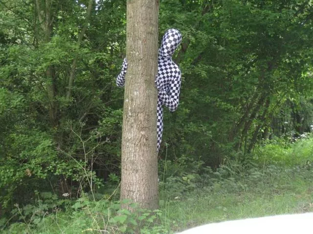 Picdump 444 - #45 