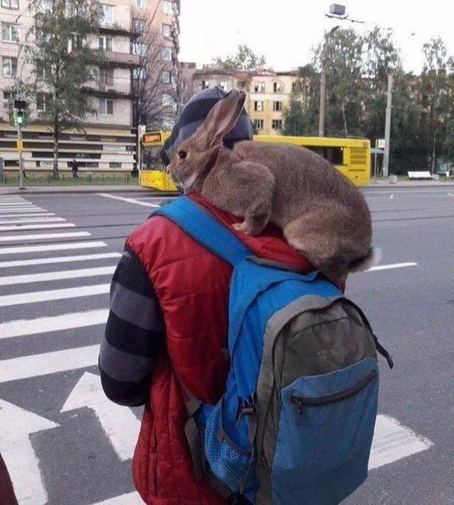 Picdump 444 - #51 