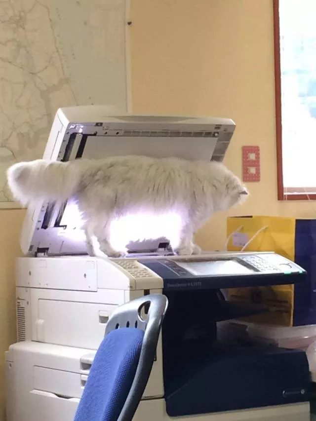 Picdump 444 - #55 