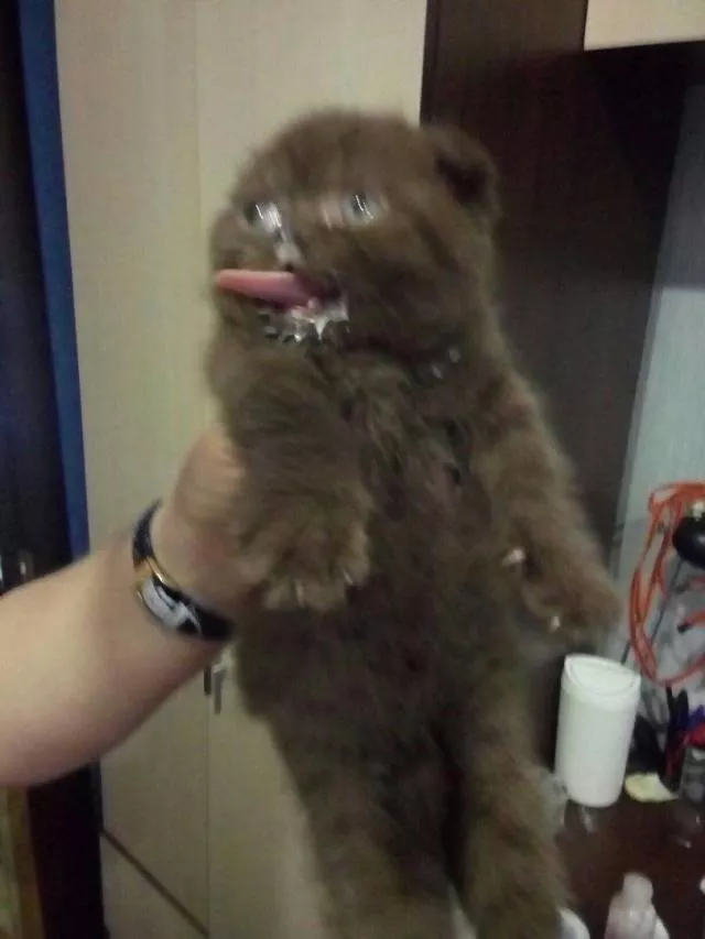 Picdump 444 - #67 
