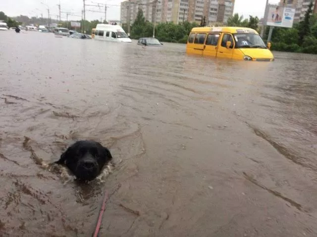Picdump 444 - #76 