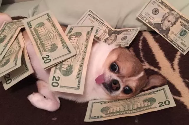 Picdump 444 - #80 
