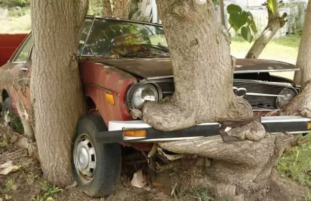Picdump 444 - #85 