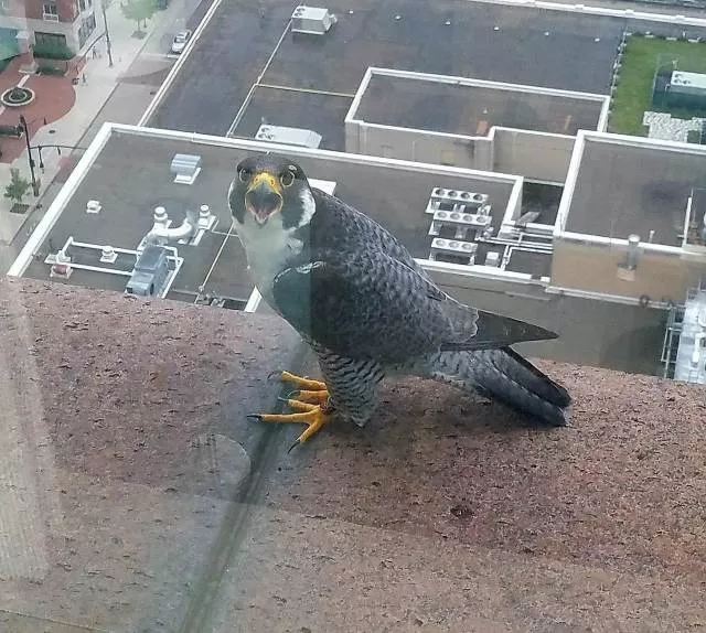 Picdump 444 - #96 