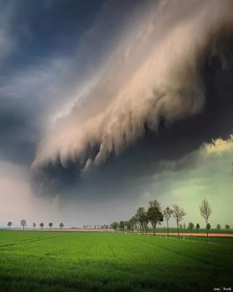 The rare photos found on the web - #28 