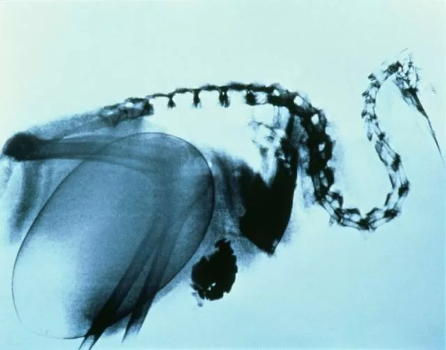The rare photos found on the web - #4 