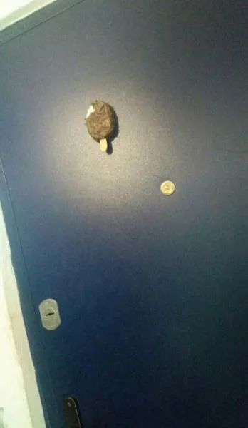 Things that only happen in russia - #31 
