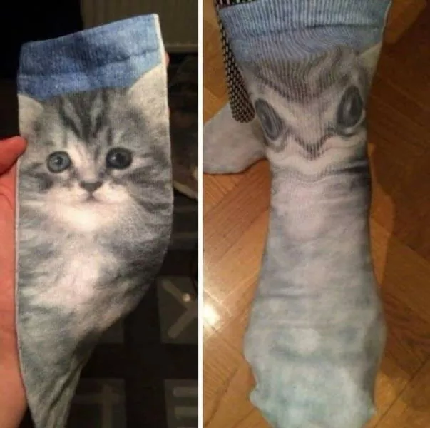 Picdump 445 - #25 