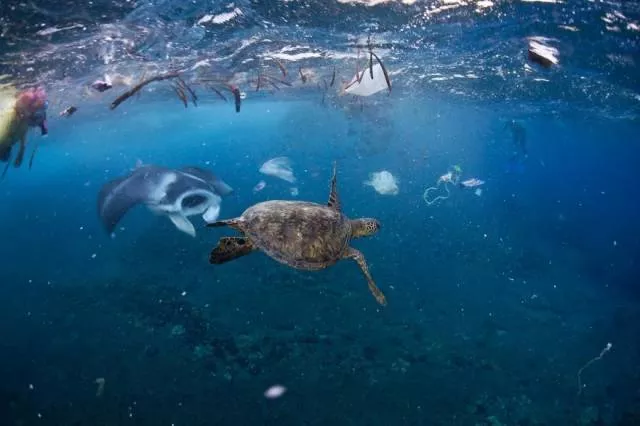 La plastique menace notre belle terre - #12 