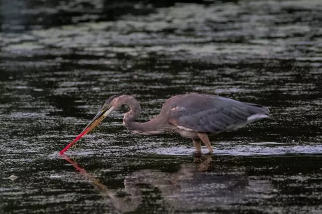 Plastic threatens our beautiful land - #13 