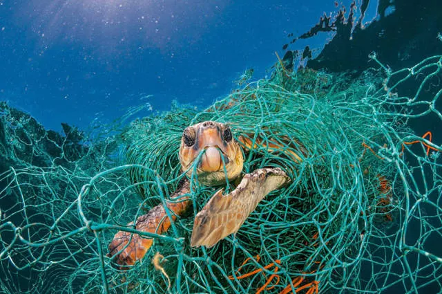 La plastique menace notre belle terre
