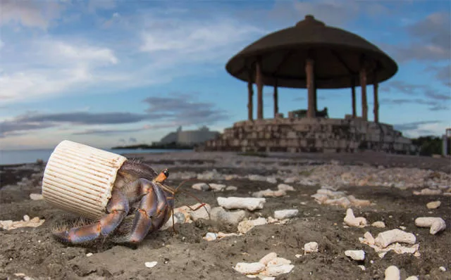 Plastic threatens our beautiful land - #7 