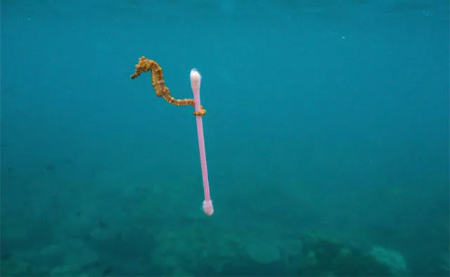 La plastique menace notre belle terre - #8 