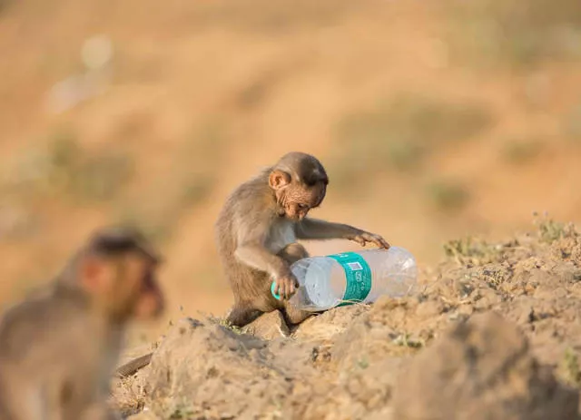 Plastic threatens our beautiful land - #9 