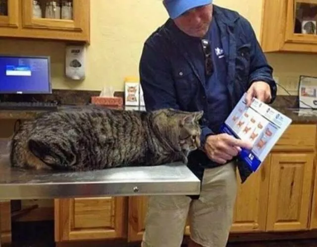 Picdump 446 - #11 
