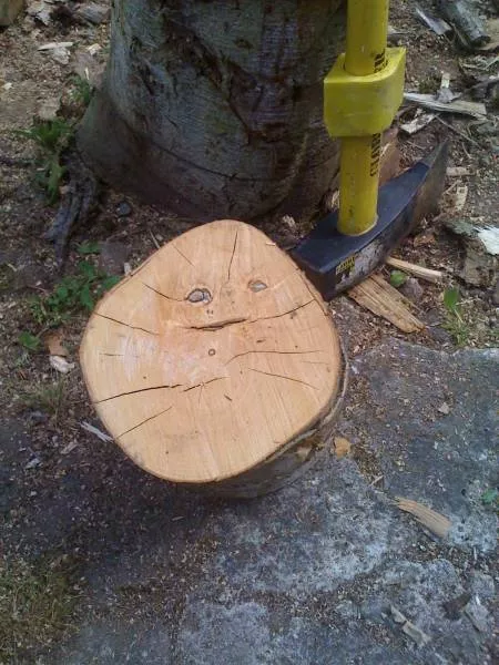 Picdump 446 - #2 