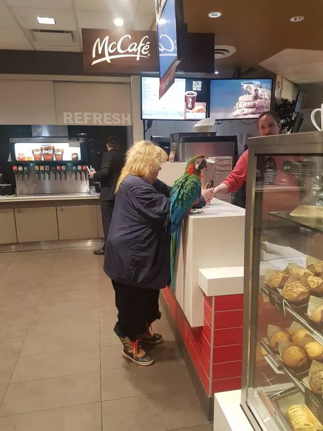 Picdump 446 - #9 