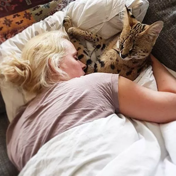 Love of animals - #10 