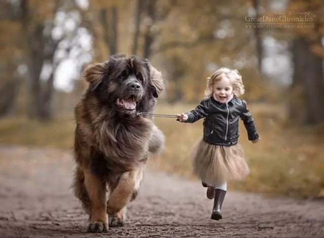 Love of animals - #12 