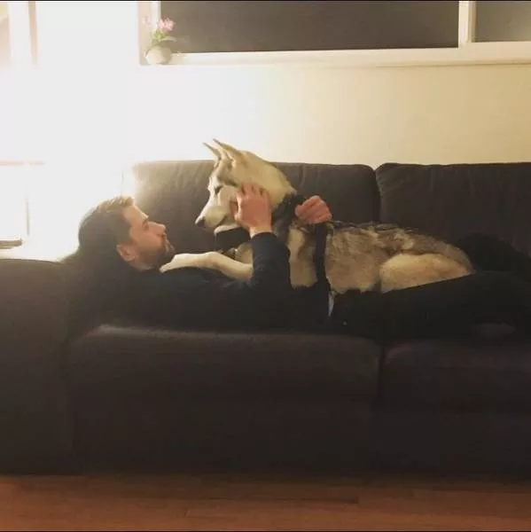 Love of animals - #19 